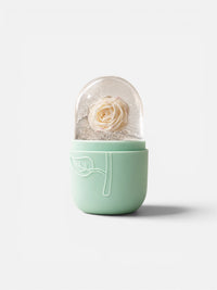 Facial Ice Roller
