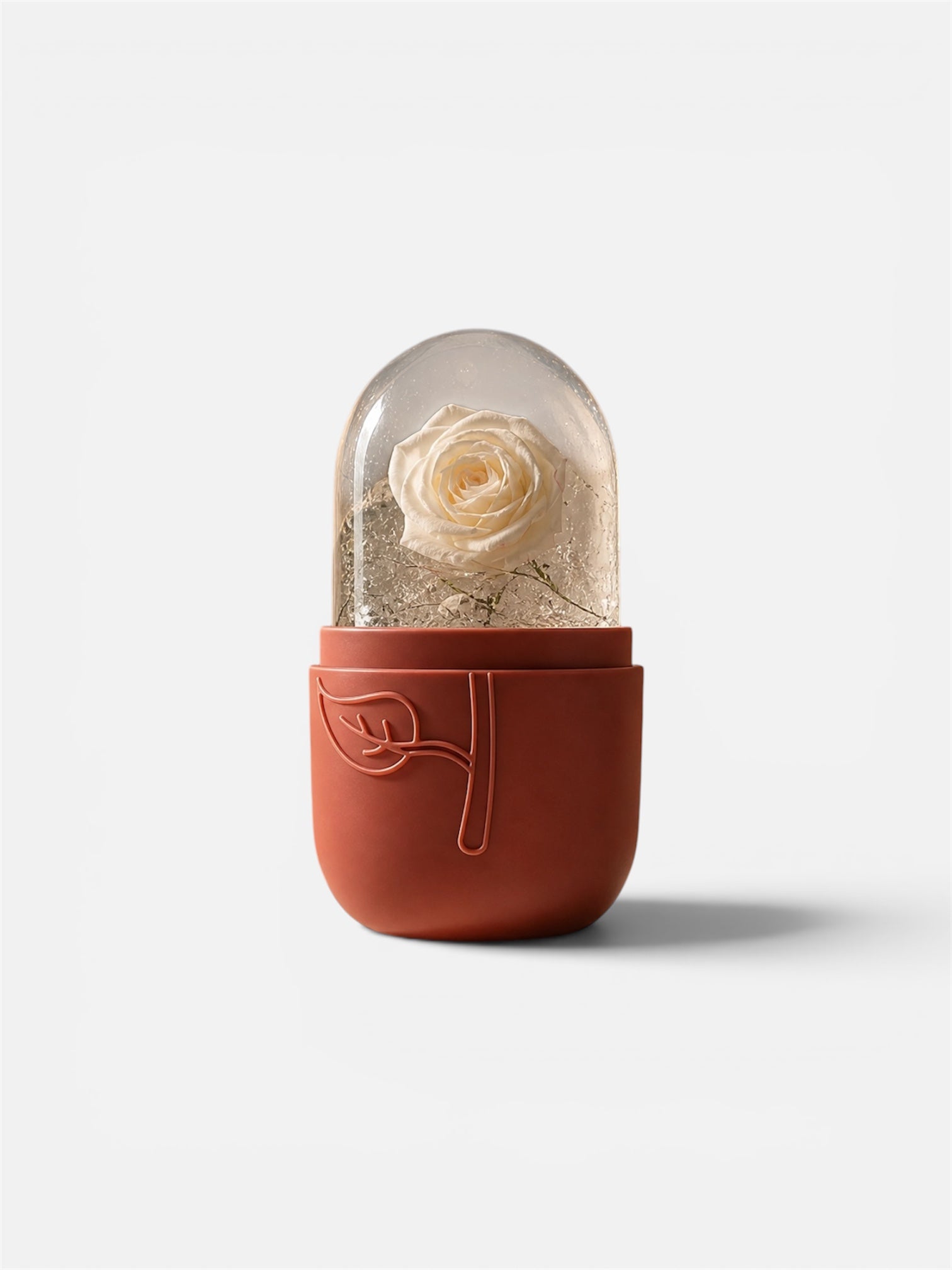 Facial Ice Roller